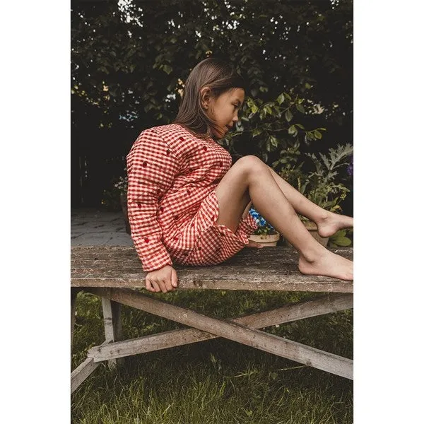 Flss Molly Shorts Berry Gingham
