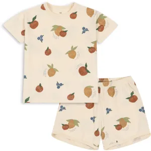 Konges Sljd Fruity Basis Set
