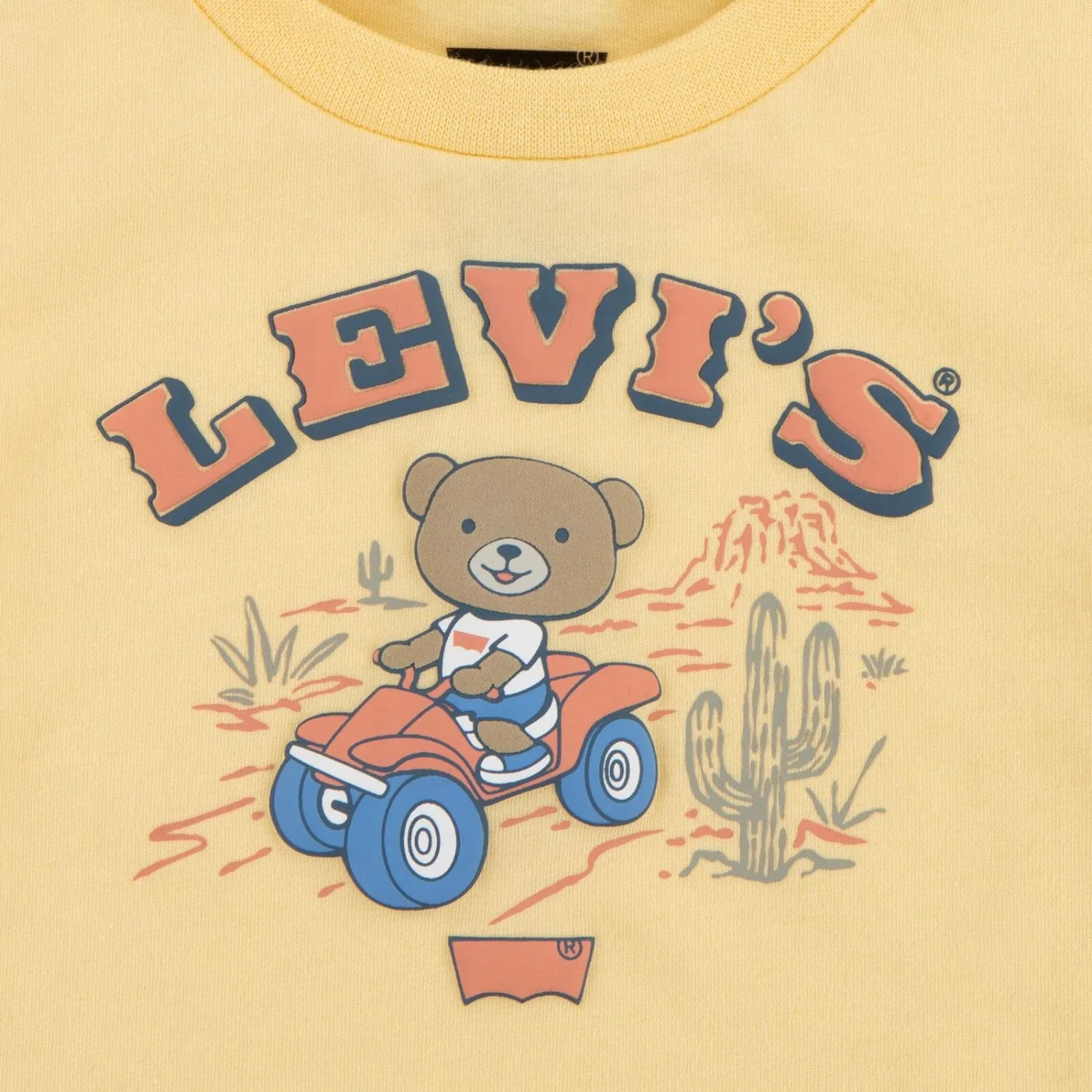 Levi's Golden Haze Four Wheeler Denim Shorts Set